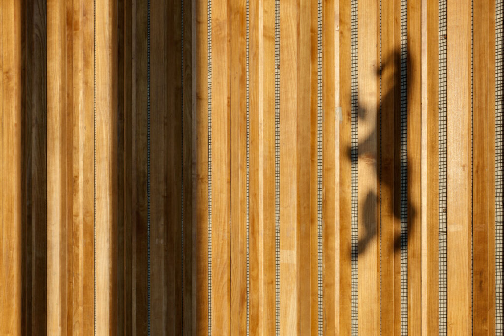 Schatten des Berliner Bären auf holzverkleideter Wand.